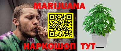 сатива Малгобек