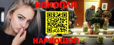Альфа ПВП Малоярославец
