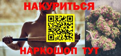 сатива Малгобек