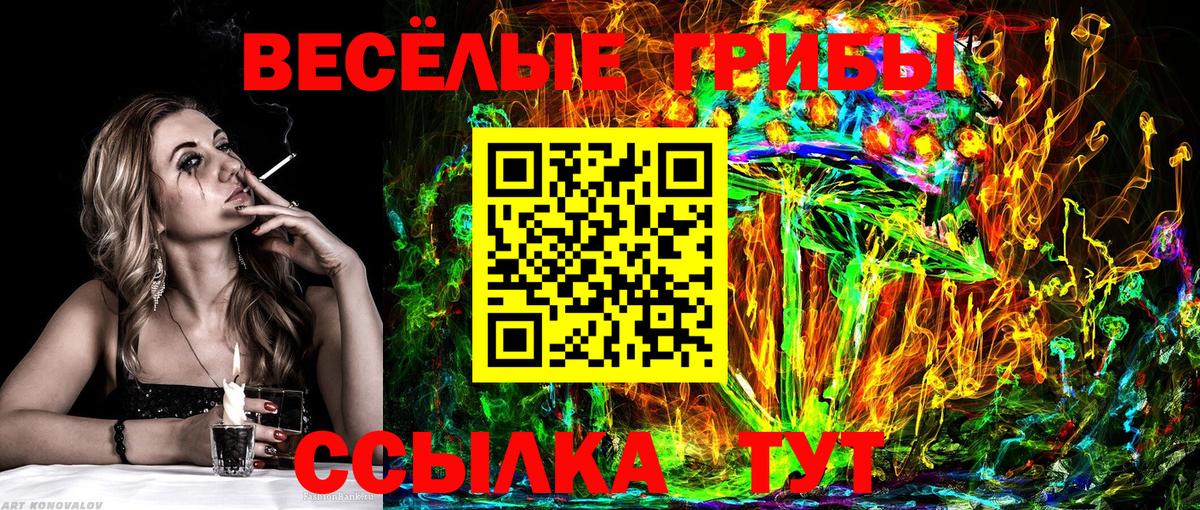 Галлюциногенные грибы GOLDEN TEACHER Воскресенск