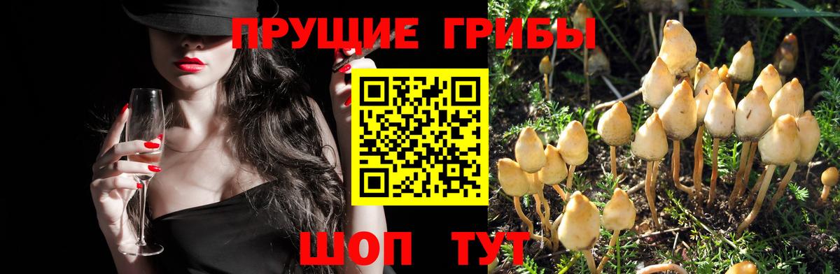 Воскресенск  Галлюциногенные грибы мицелий  Псилоцибиновые грибы MAGIC MUSHROOMS  Вход с VPN 